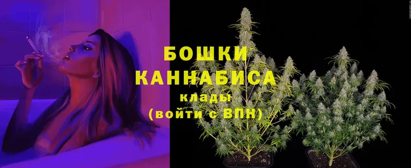 Канабис THC 21%  Болохово 